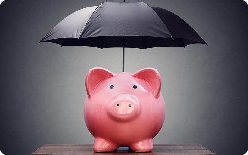 income-protection income protection pig