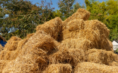 Fodder Transport and Permit Rules for Victorian Farmers (2025)