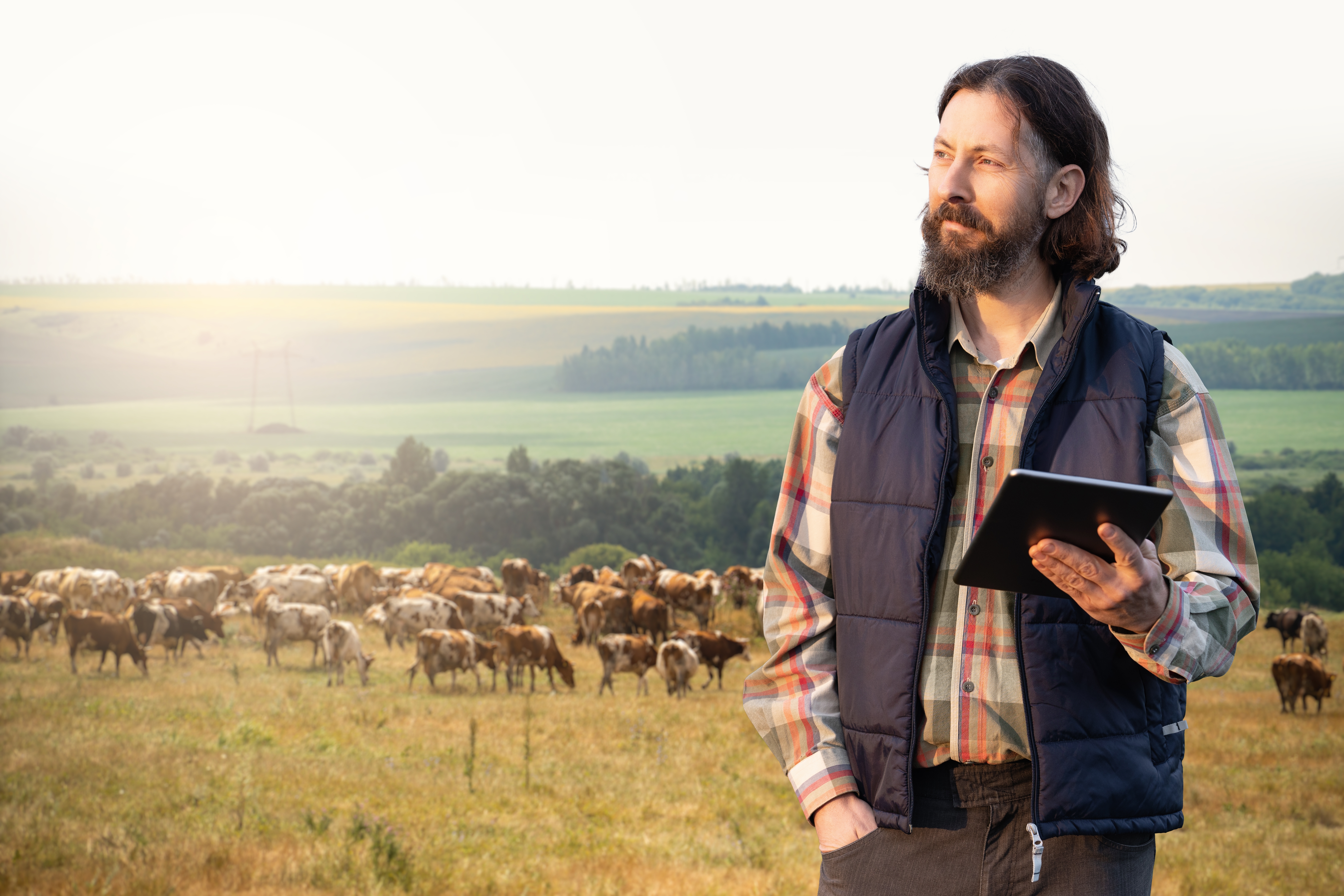 Farmer,With,Tablet,Computer,Inspects,Cows,In,The,Pasture.,Herd Tax time with wooden alphabet blocks, red alarm clock, calculator and pen on 1040 tax form background