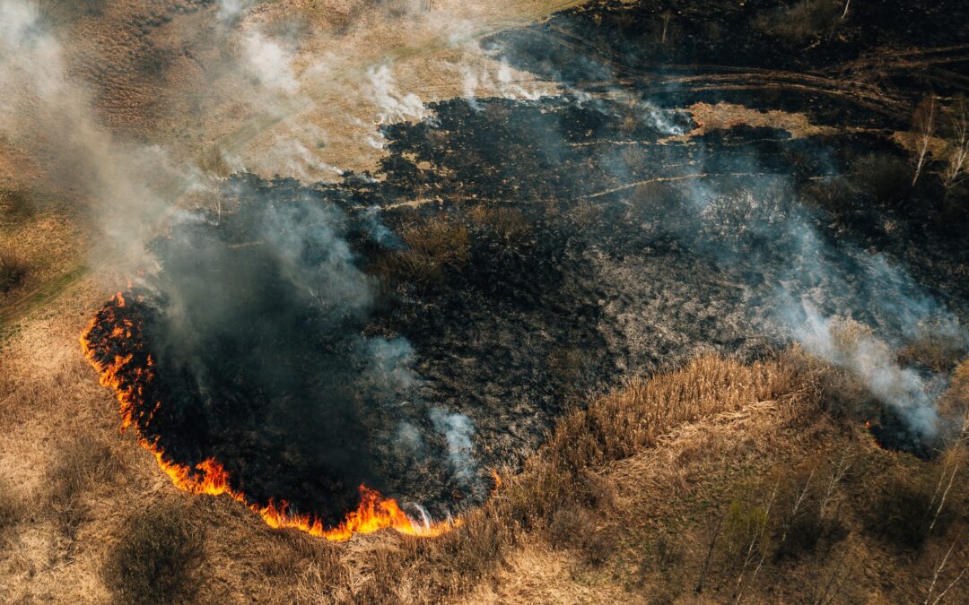 Victorian Bushfire Support for Primary Producers