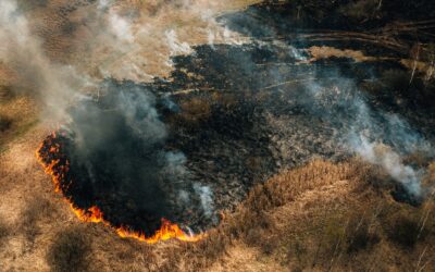 Victorian Bushfire Support for Primary Producers