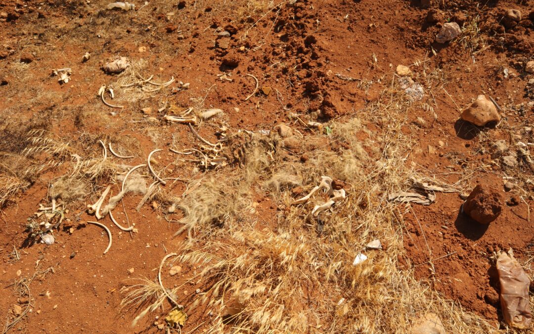 NSW Drought Relief Loan