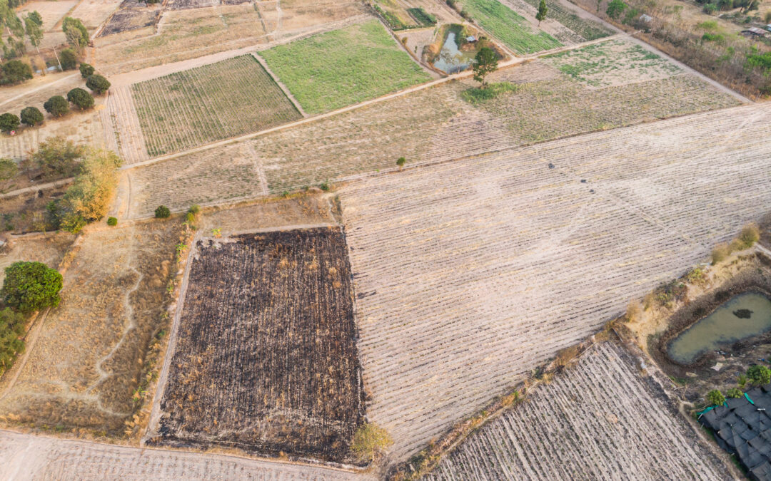 Farm Drought Support Grants